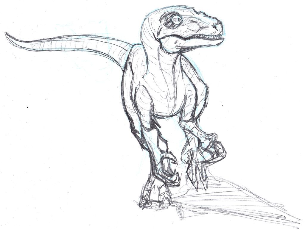 Raptor Image