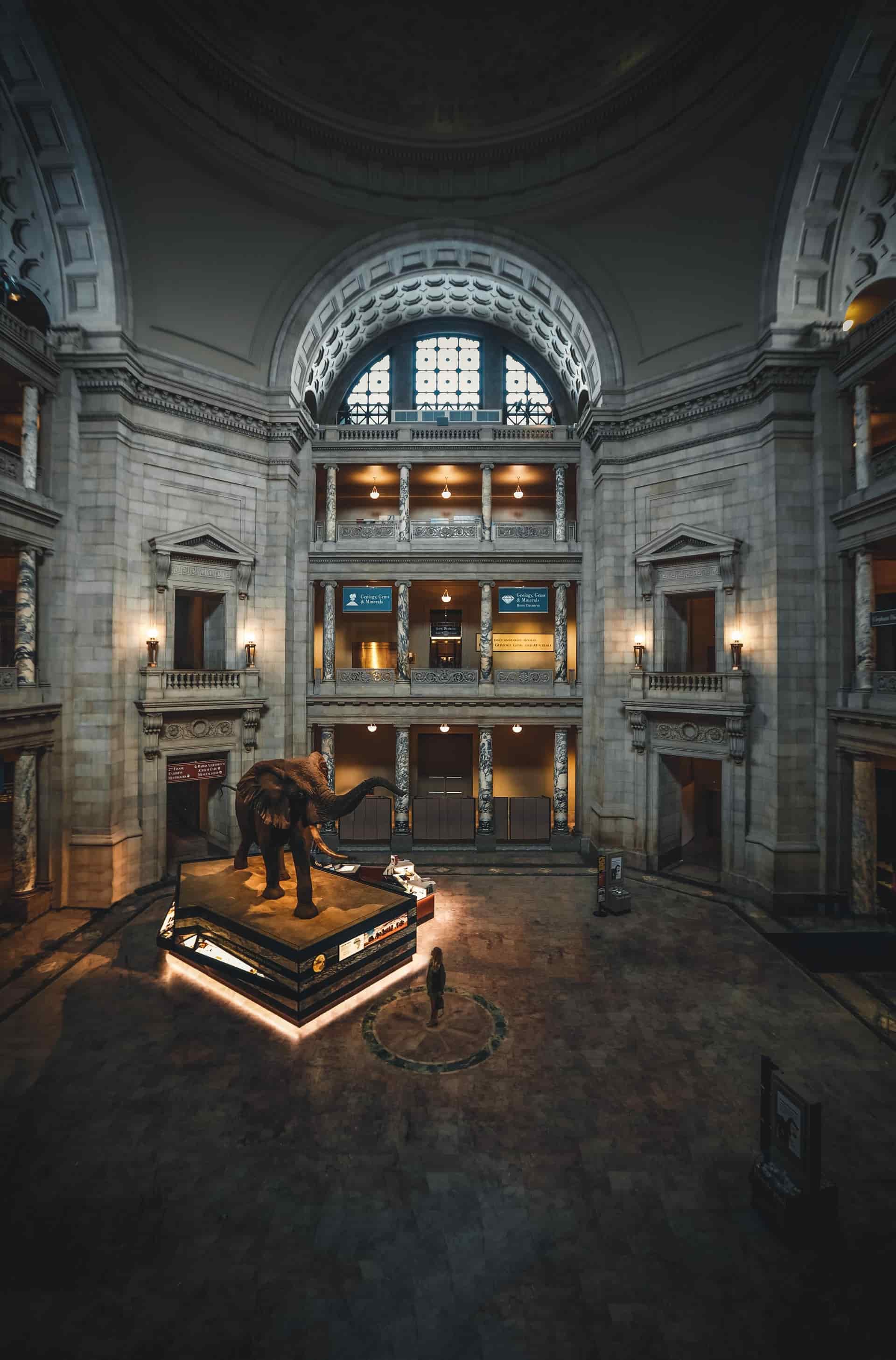Elephant